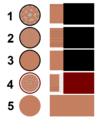 Crosssections.png