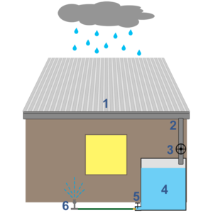 Rainwatercollection.png