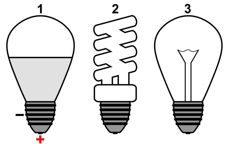 File:LightsCFLLEDINCAN210101.png
